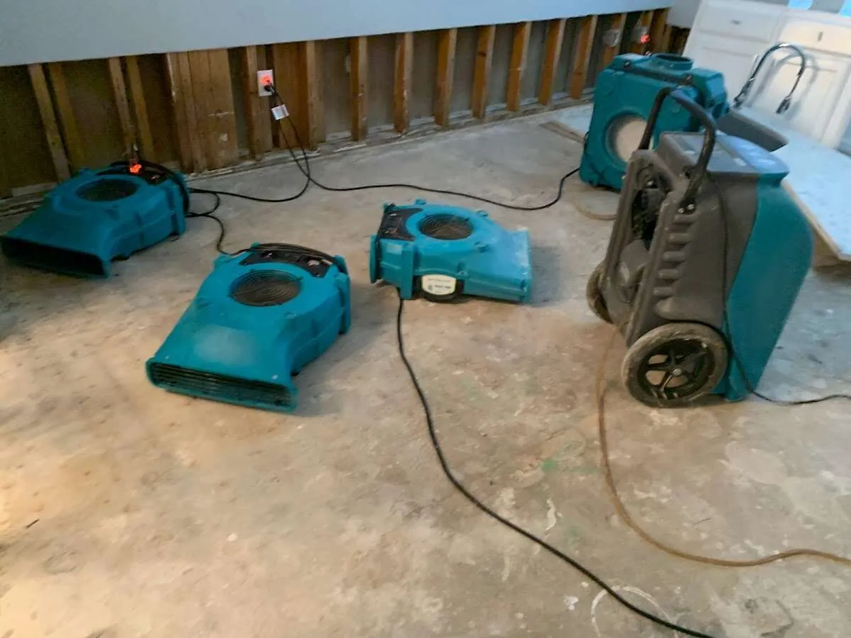 Water Damage Restoration services in Oak Forest, IL